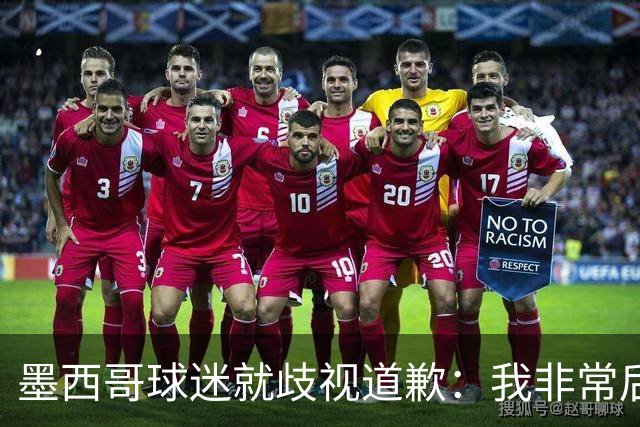 墨西哥球迷就歧视道歉：我非常后悔，已辞去工程师协会职务